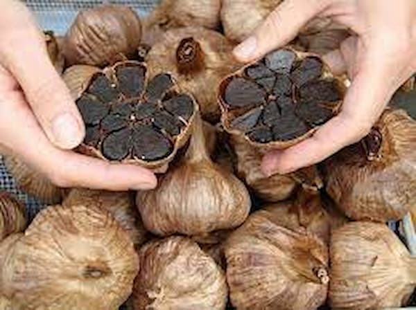 تصویر 1 از قیمت سیر سیاه سولان + فروش ویژه